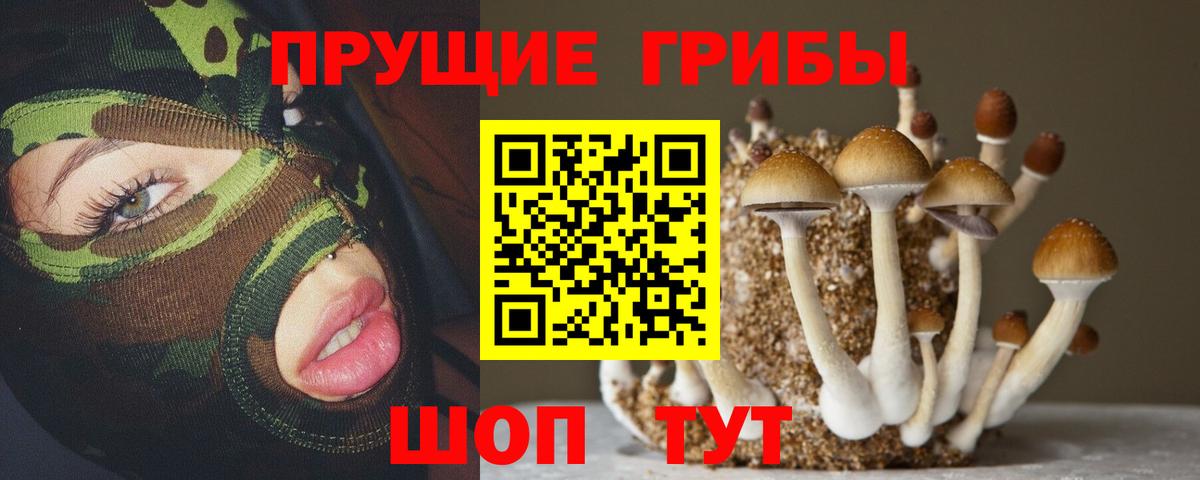 Псилоцибиновые грибы Psilocybine cubensis  Вход с VPN  Новороссийск 
